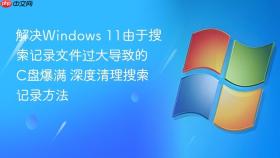 解决Windows 11由于搜索记录文件过大导致的C盘爆满 深度清理搜索记录方法