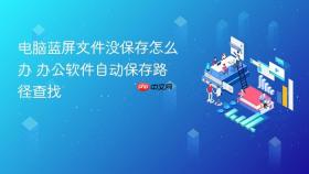 电脑蓝屏文件没保存怎么办 办公软件自动保存路径查找