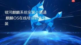 银河麒麟系统安装小鹅通 麒麟OS在线培训软件安装