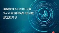 麒麟操作系统如何设置WOL局域网唤醒 银河麒麟远程开机