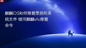 麒麟os如何修复受损的系统文件 银河麒麟sfc修复命令