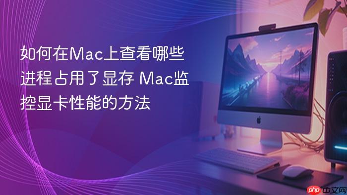 如何在mac上查看哪些进程占用了显存 mac监控显卡性能的方法