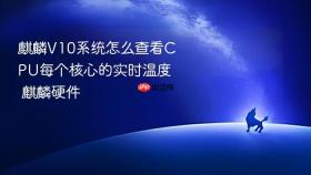 麒麟v10系统怎么查看cpu每个核心的实时温度 麒麟硬件