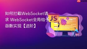 如何拦截websocket请求 websocket全局钩子函数实现【进阶】
