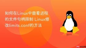 如何在linux中查看进程的文件句柄限制 linux修改limits.conf的方法