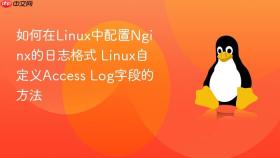 如何在linux中配置nginx的日志格式 linux自定义access log字段的方法