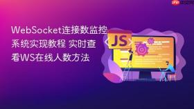 websocket连接数监控系统实现教程 实时查看ws在线人数方法