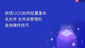 统信uos如何批量重命名文件 文件夹管理的高效操作技巧