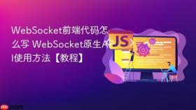 websocket前端代码怎么写 websocket原生api使用方法【教程】