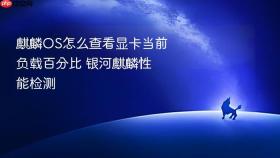 麒麟OS怎么查看显卡当前负载百分比 银河麒麟性能检测
