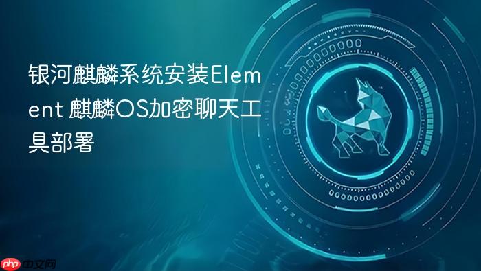 银河麒麟系统安装element 麒麟os加密聊天工具部署