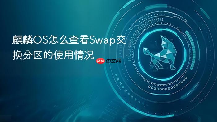 麒麟os怎么查看swap交换分区的使用情况