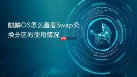 麒麟os怎么查看swap交换分区的使用情况