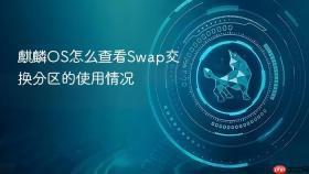 麒麟OS怎么查看Swap交换分区的使用情况