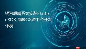 银河麒麟系统安装Flutter SDK 麒麟OS跨平台开发环境