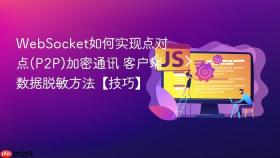websocket如何实现点对点(p2p)加密通讯 客户端数据脱敏方法【技巧】