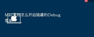 mac系统怎么开启隐藏的debug菜单？