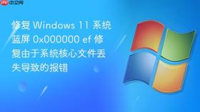 修复 Windows 11 系统蓝屏 0x000000 ef 修复由于系统核心文件丢失导致的报错
