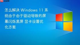 怎么解决 Windows 11 系统由于由于驱动导致的屏幕闪烁黑屏 显卡设置优化方案