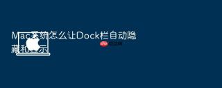 mac系统怎么让dock栏自动隐藏和显示