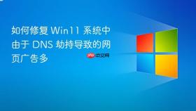 如何修复 win11 系统中由于 dns 劫持导致的网页广告多