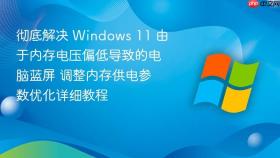 彻底解决 windows 11 由于内存电压偏低导致的电脑蓝屏 调整内存供电参数优化详细教程