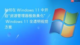 如何在 windows 11 中开启“资源管理器极致美化” windows 11 全透明视觉方案