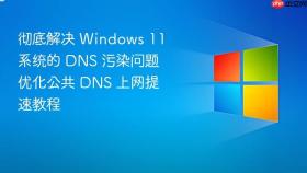 彻底解决 windows 11 系统的 dns 污染问题 优化公共 dns 上网提速教程