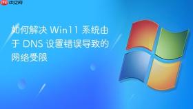 如何解决 Win11 系统由于 DNS 设置错误导致的网络受限