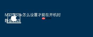 macbook怎么设置才能在开机时静音启动