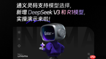 通义灵码占用内存太高怎么办 灵码插件性能调优教程
