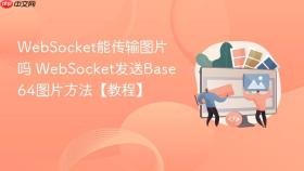 websocket能传输图片吗 websocket发送base64图片方法【教程】