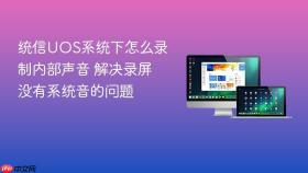 统信UOS系统下怎么录制内部声音 解决录屏没有系统音的问题