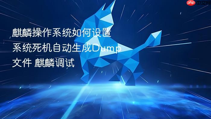 麒麟操作系统如何设置系统死机自动生成dump文件 麒麟调试