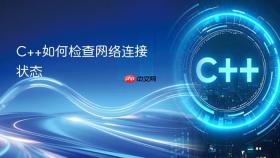 c++如何检查网络连接状态