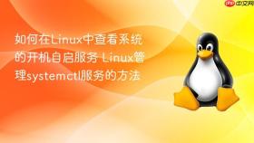 如何在Linux中查看系统的开机自启服务 Linux管理systemctl服务的方法