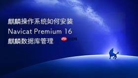 麒麟操作系统如何安装Navicat Premium 16 麒麟数据库管理