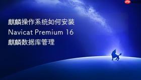 麒麟操作系统如何安装navicat premium 16 麒麟数据库管理