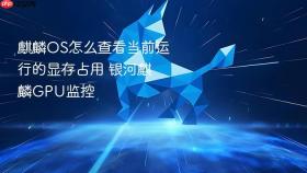 麒麟OS怎么查看当前运行的显存占用 银河麒麟GPU监控