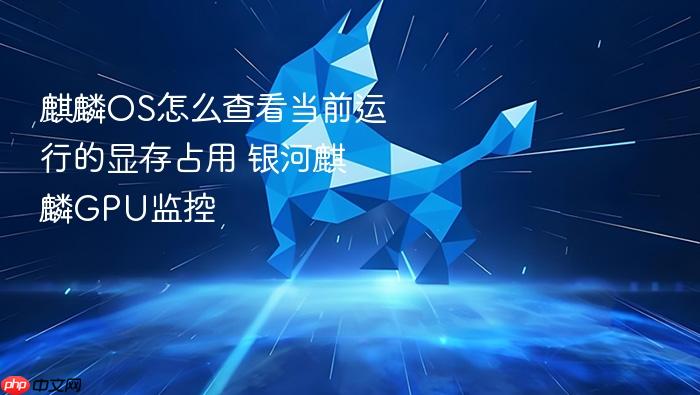 麒麟os怎么查看当前运行的显存占用 银河麒麟gpu监控