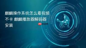 麒麟操作系统怎么看视频不卡 麒麟播放器解码器安装