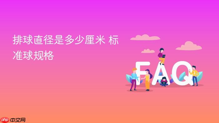 排球直径是多少厘米 标准球规格
