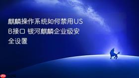 麒麟操作系统如何禁用USB接口 银河麒麟企业级安全设置