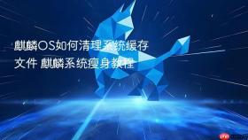 麒麟OS如何清理系统缓存文件 麒麟系统瘦身教程