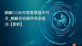 麒麟OS如何查看硬盘序列号_麒麟系统硬件信息查询【最新】