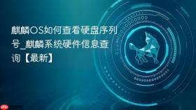 麒麟os如何查看硬盘序列号_麒麟系统硬件信息查询【最新】