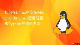 如何在Linux中安装Miniconda Linux配置轻量级Python环境的方法