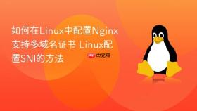 如何在linux中配置nginx支持多域名证书 linux配置sni的方法