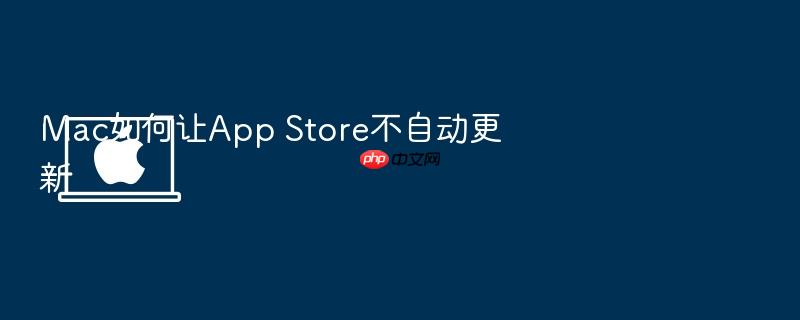 mac如何让app store不自动更新