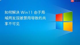 如何解决 win11 由于局域网发现被禁用导致的共享不可见